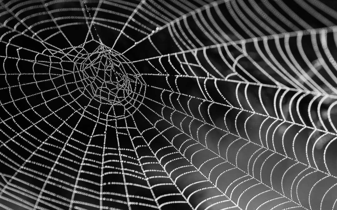 How to Get Rid of Cobwebs – And Prevent Them From Coming Back